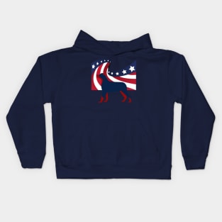 Independence day- US flag Kids Hoodie